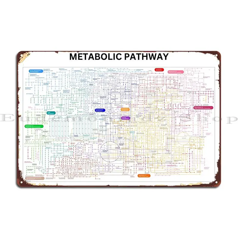 Metabolic Pathway Map Metal Sign Club Designer Designing Home Club Tin Sign Poster