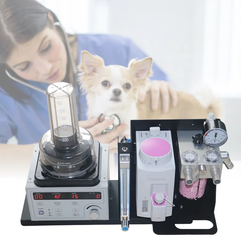 Olive Clinic Portable Vet  Machine Support 0.5-100kg Animals Pet  Machine Veterinary  Machine