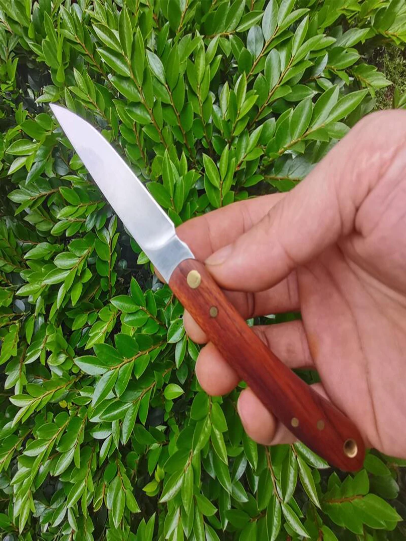 Faca de Frutas de Seiko Conveniente para Transportar Dobrar Descascar Melão Lâmina de Frutas Multifuncional ao ar Livre Aço Inoxidável