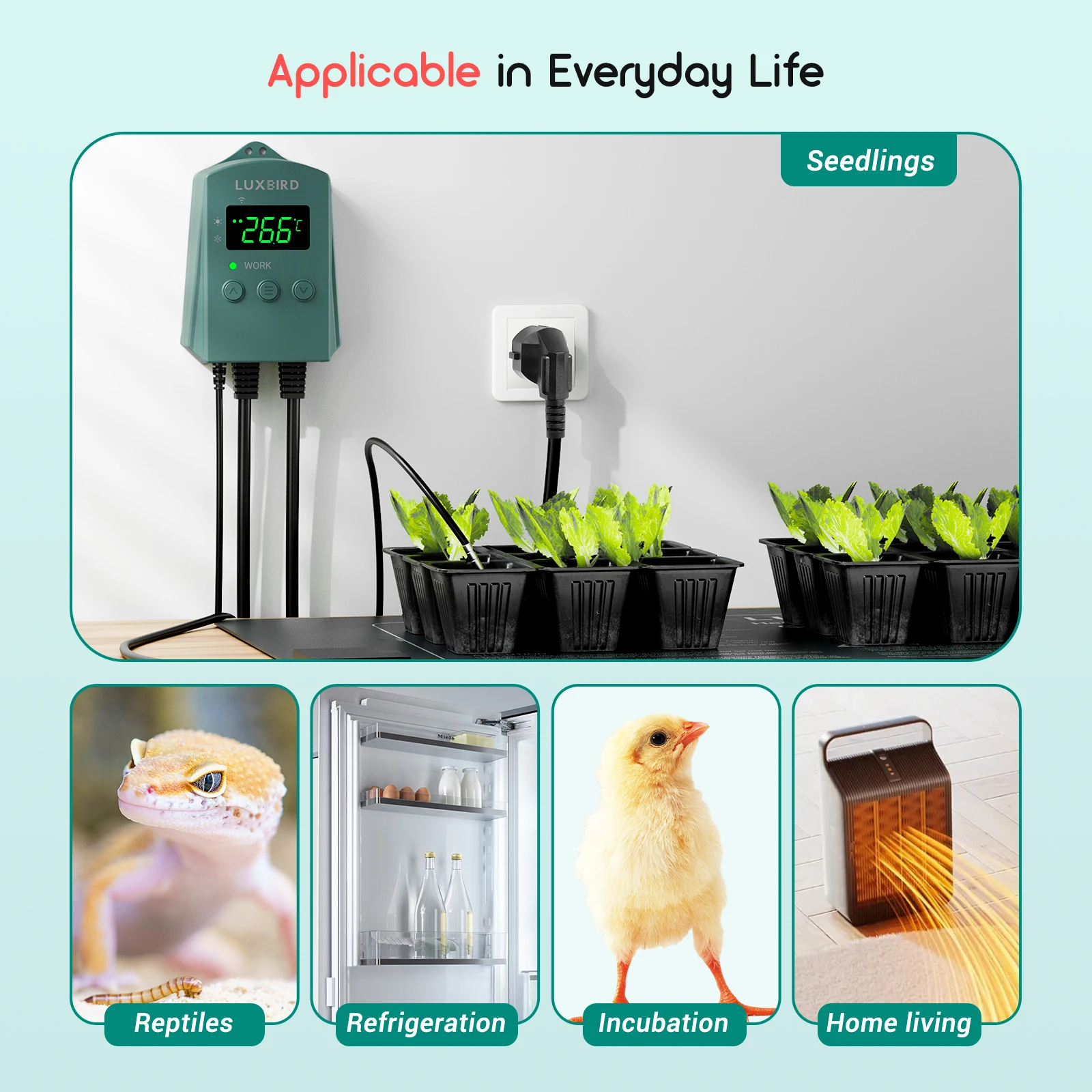 LUXBIRD WiFi Temperature Controller with Heating Cooling Modes Ideals for Seedling Germination,Reptiles,Refrigeration,Home Brewi