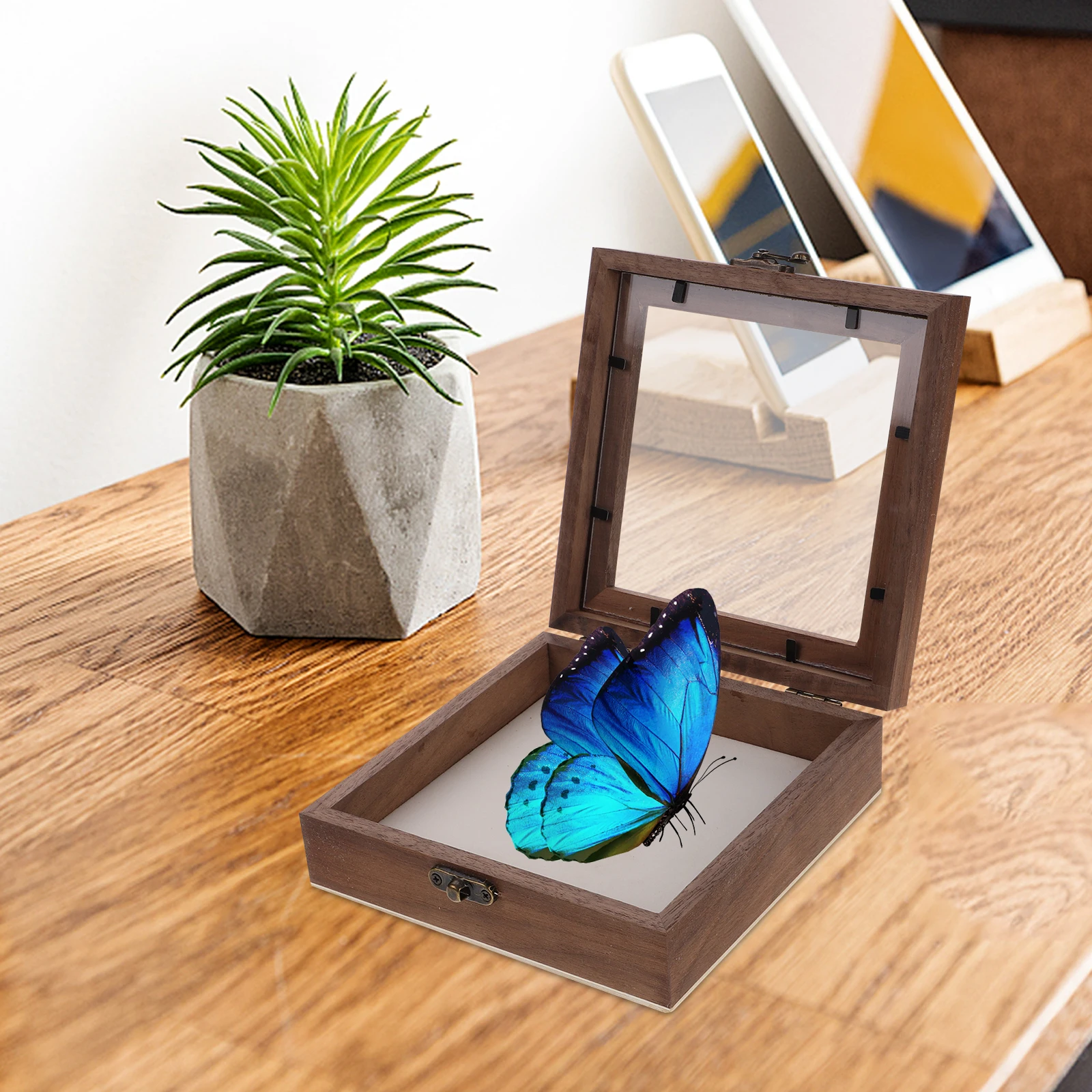

Vintage Wooden Display Case Butterfly Clear Lid Specimen Storage Box Dried Flower Frame Pressed Shadow Box Specimen Display
