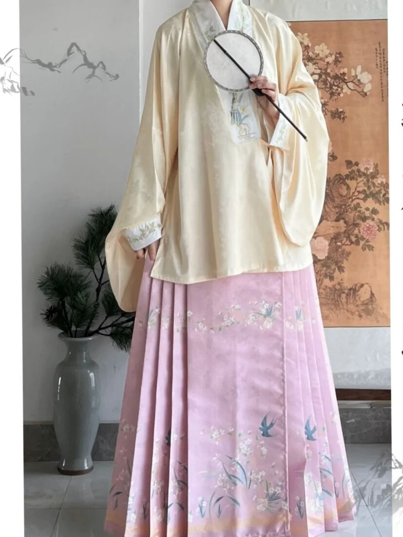 Hanfu Everthe-Vêtements traditionnels chinois de la dynastie Ming pour femmes, tenue de jupe Ma Mian, vêtements de prairie brodés, jupe visage de cheval