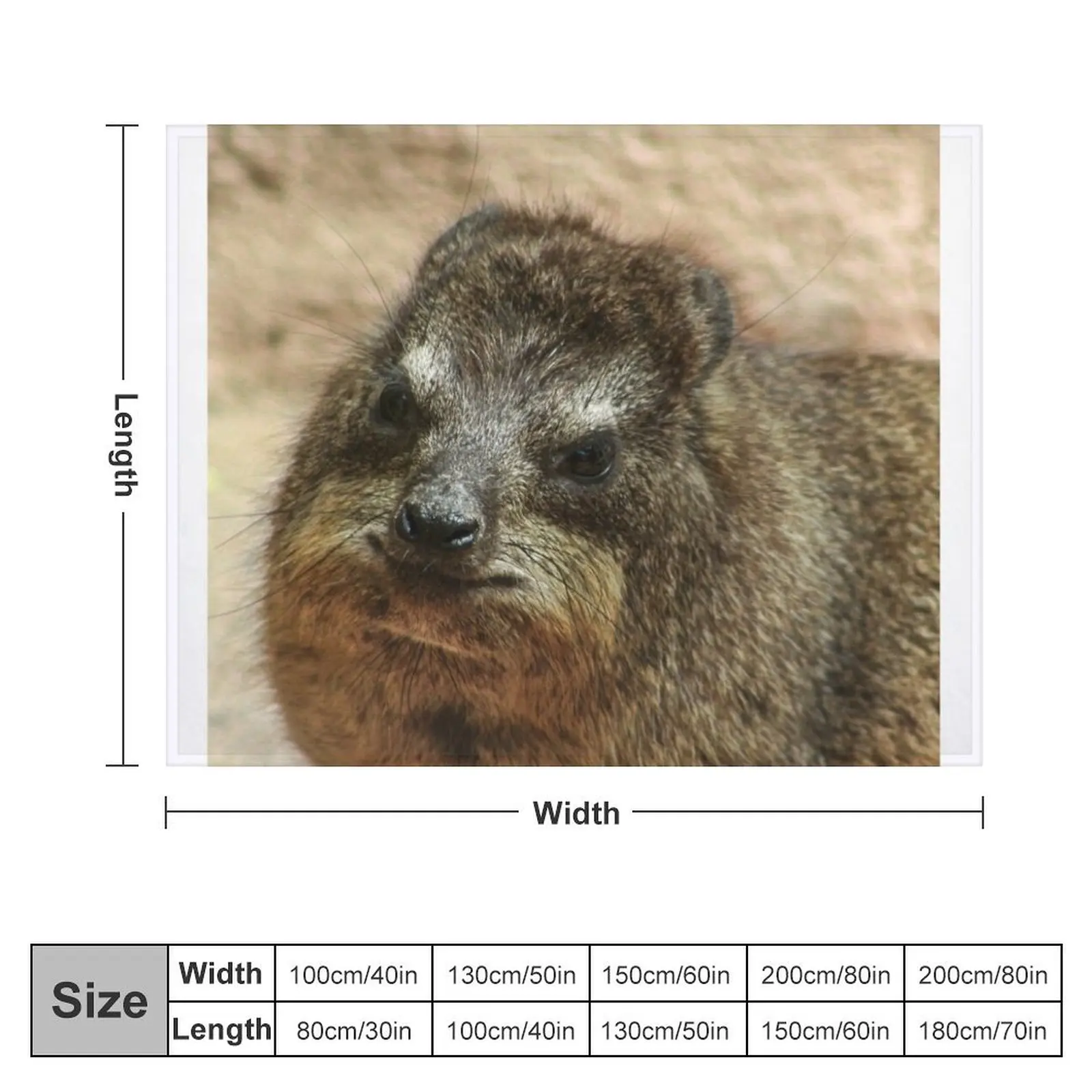 Close up of rock hyrax Throw Blanket Luxury for winter Multi-Purpose Thermal Blankets