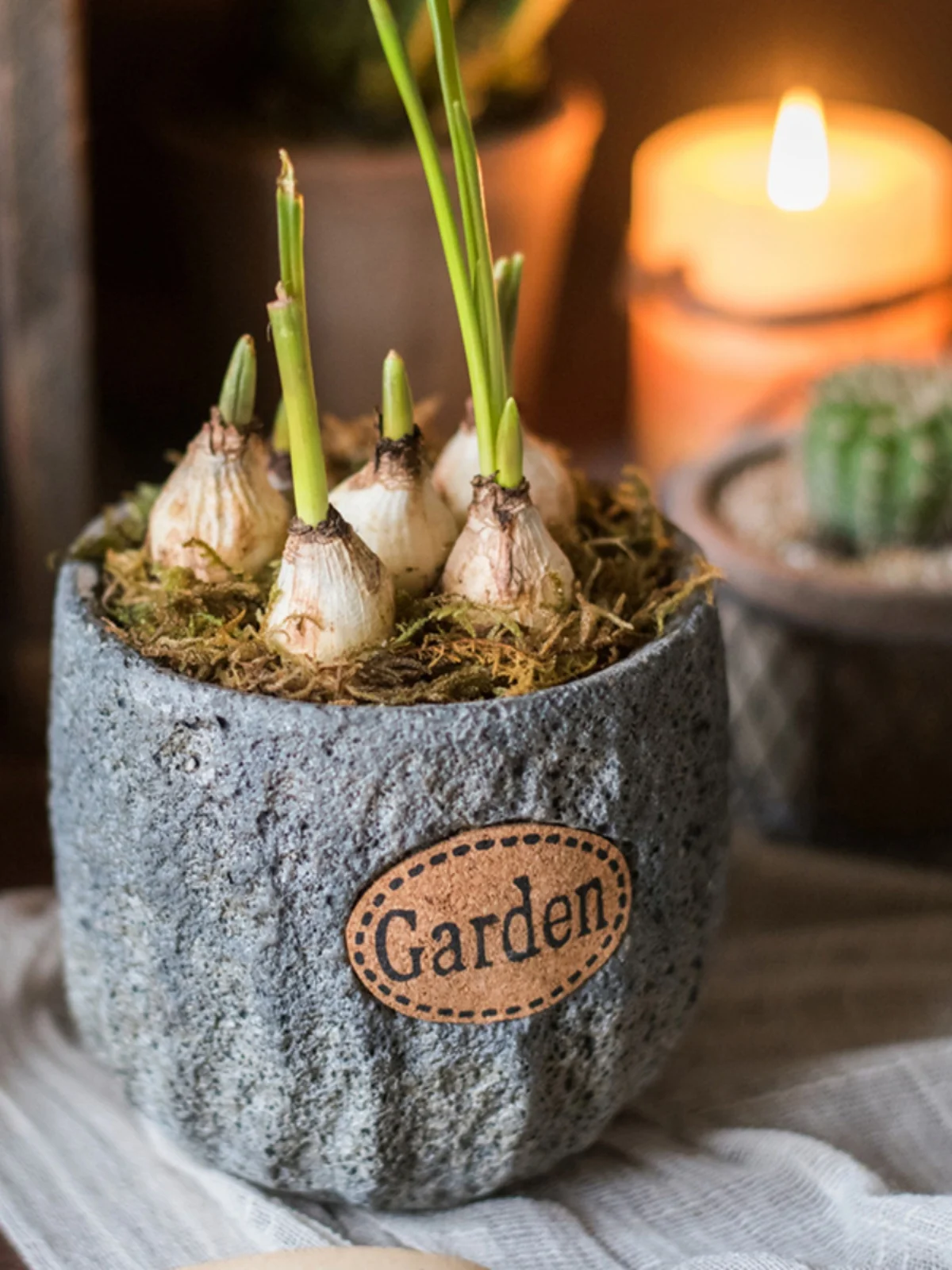 

Маленький керамический цветочный горшок для декора рабочего стола, милый скандинавский креативный орнамент, контейнер для суккулентов