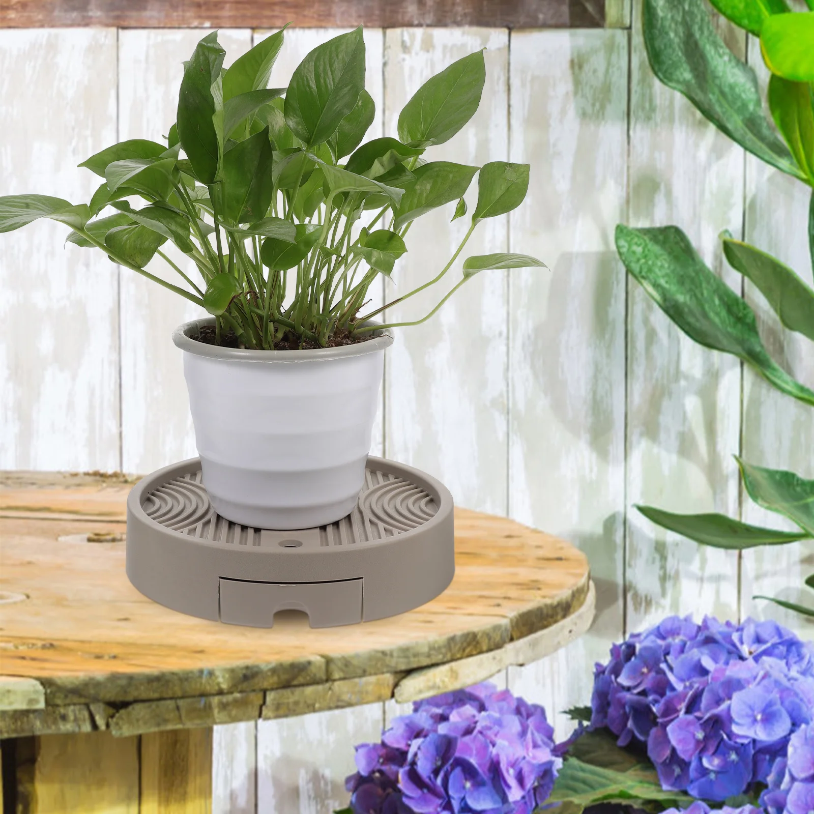 

1pc Universal Wheel Plant Tray With Detachable Water Storage Drainage Holes Rolling Caster For Indoor Plants Flowerpot Mobile