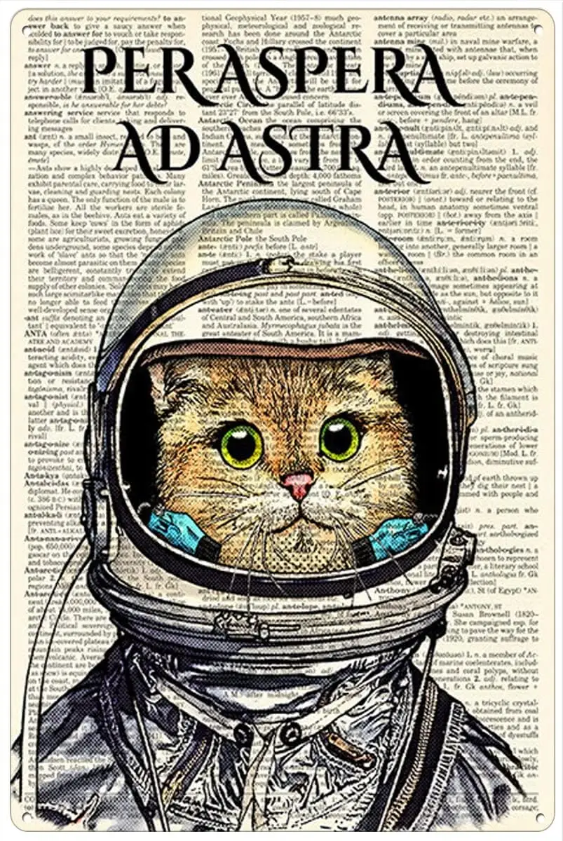 Retro Metal Tin Sign 8 X 12 Inches Per Aspera Ad Astra Cat Spaceman Poster Motivational Wall Decor Home Decoration Art Poster Me