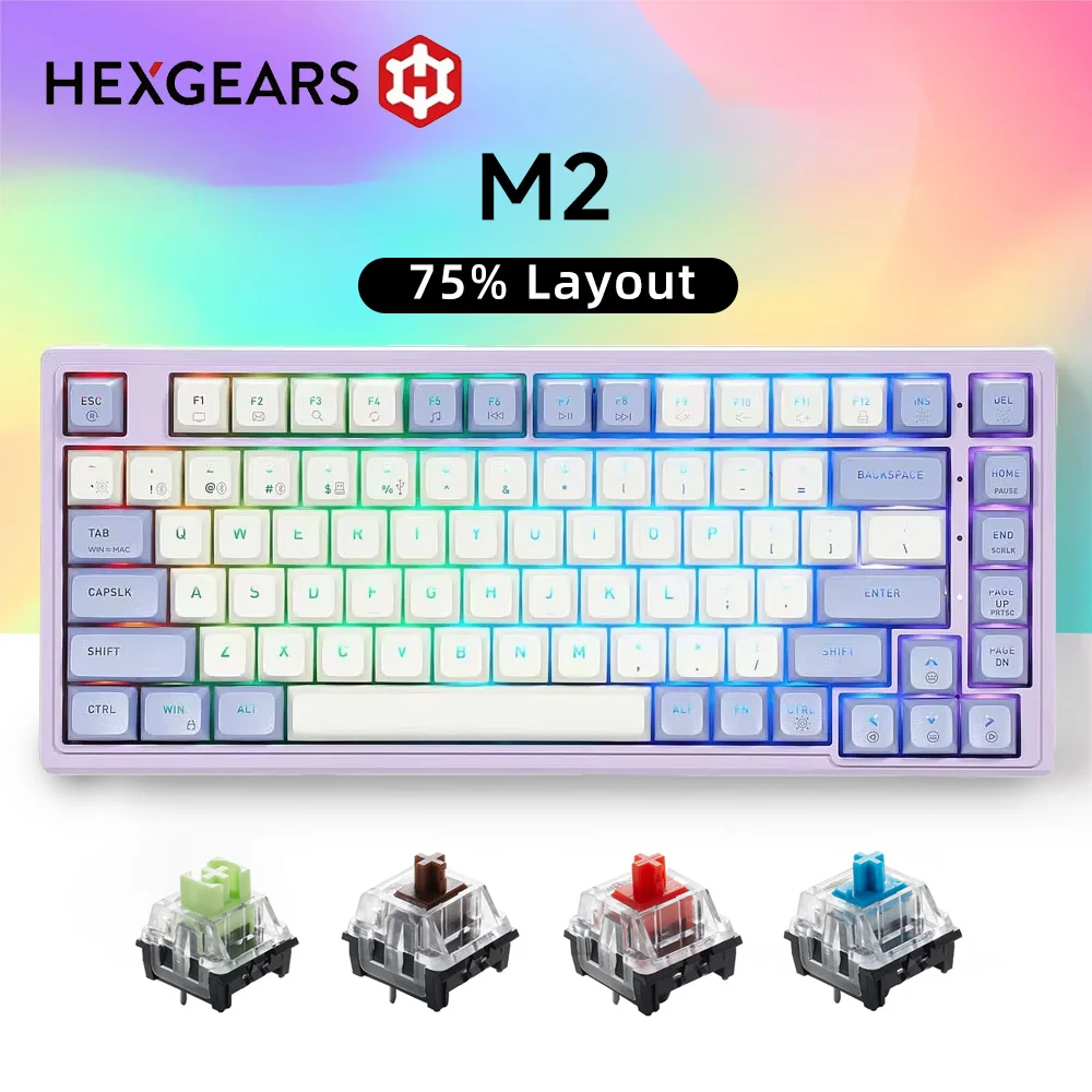 

Механическая клавиатура HEXGEARS M2, колпачки для клавиш из АБС-пластика, 83 клавиши, 5-слойная бесшумная заполка, клавиатура с возможностью горячей замены, раскладка 75% игровая клавиатура