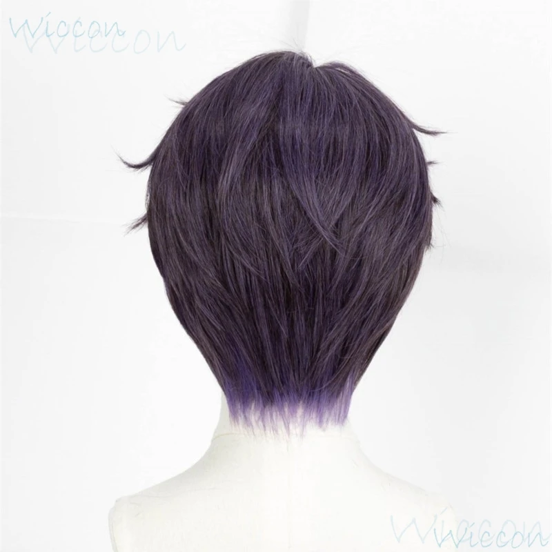 Rafayel Mo Game Love and Deepspace Cosplay Wig Mermaid Artist Pisces Cosplay role play Purple Wig Cosplay Prop Party for Men