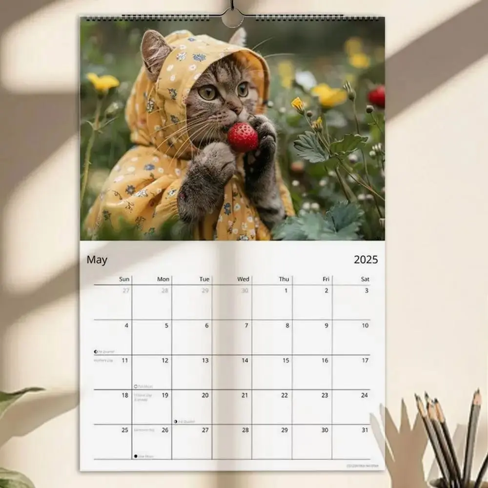 Thick Paper 2025 Calendar Monthly Planner Calendar Cat Illustration Wall Calendar Cat Imitating Human Movements Desktop Calendar
