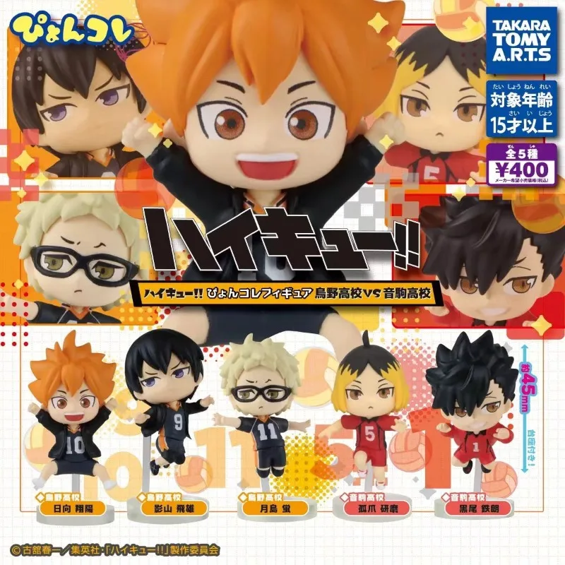 Haikyuu!! Gashapon Toys Hinata Shoyo Kei Tsukishima Kozume Kenma Tetsurou Kuroo Anime Figure Model Ornaments Box Toys