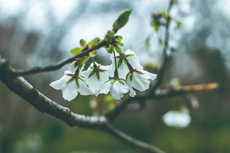 Metal Upgrade 370 M…