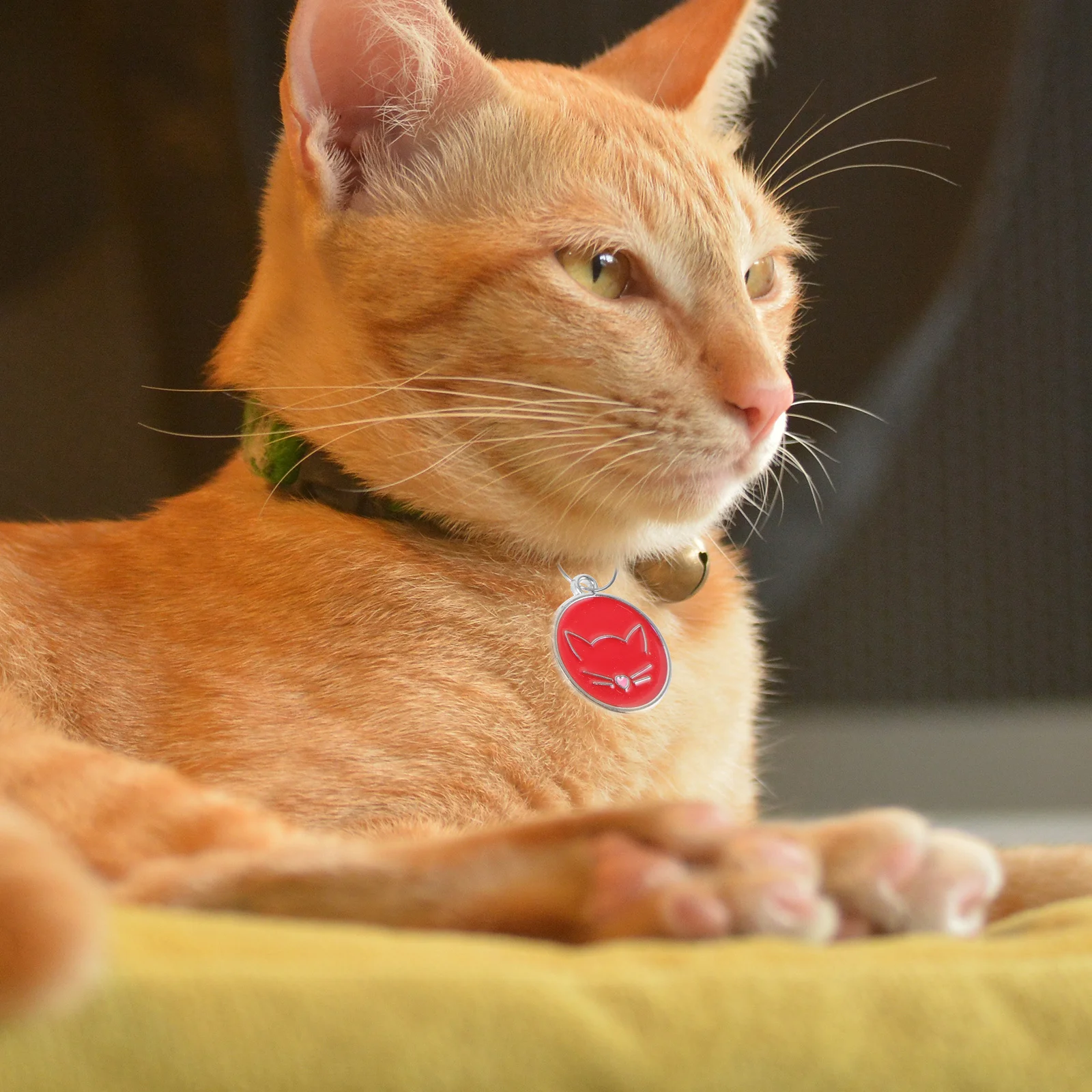 

12Pcs Stainless Steel Pet Tags Round Cat Id Tag Kitten Name Tags Engraved Collar Accessories Cat Tag Pet Supplies