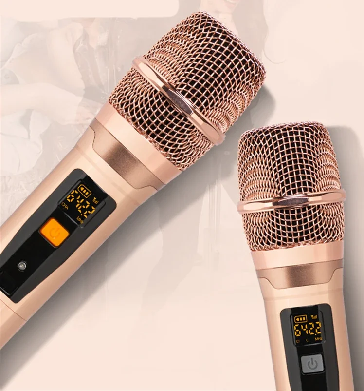 Portable Factory Made Karaoke Machine with Screen Professional Karaoke Machine with Songs