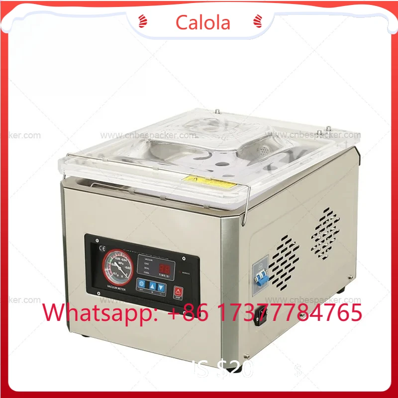 

Вакуумный упаковщик DZ-260 2025 с сертификатом CE из нержавеющей стали 304 – для мяса/пиццы/продуктов питания/морепродуктов