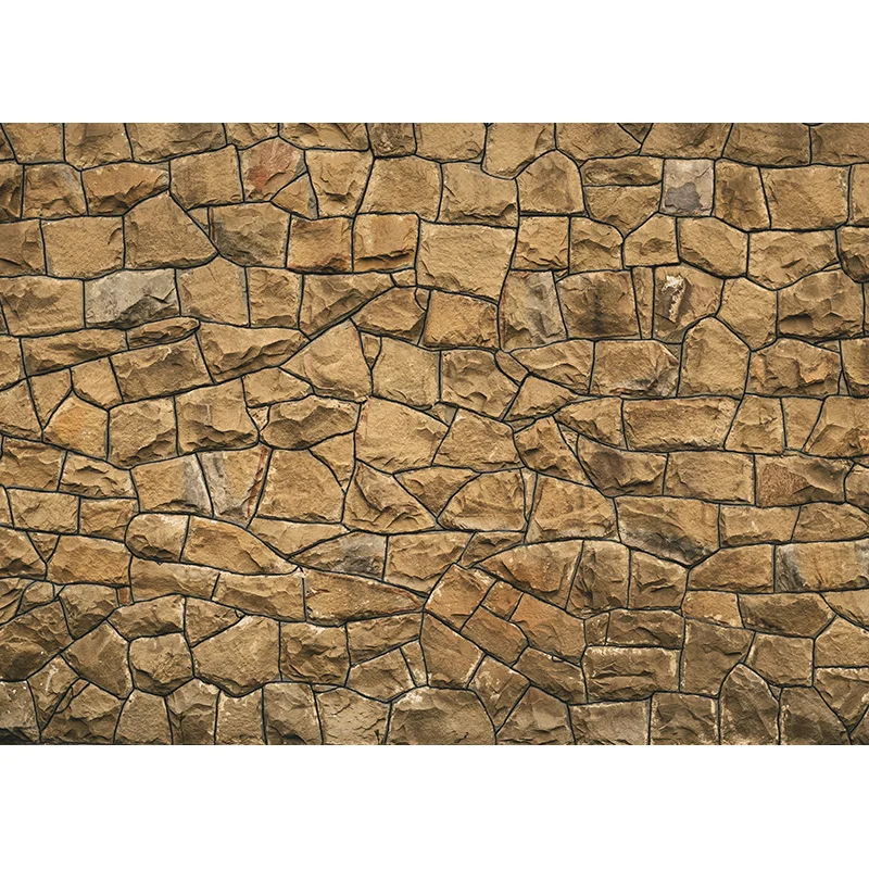 Vintage Tường Gạch Nền Vinyl Chụp Ảnh Phông Nền Chụp Ảnh Nền Cho Studio Ảnh Đạo Cụ 210327CAZ-03