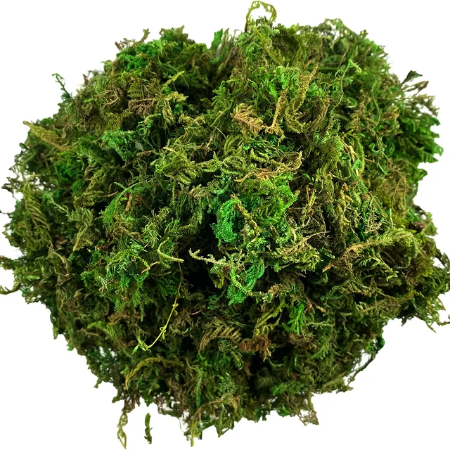Sztuczny mech zielony do roślin doniczkowych Orchidea Doniczkowa mieszanka Torf Moss Pole Craft