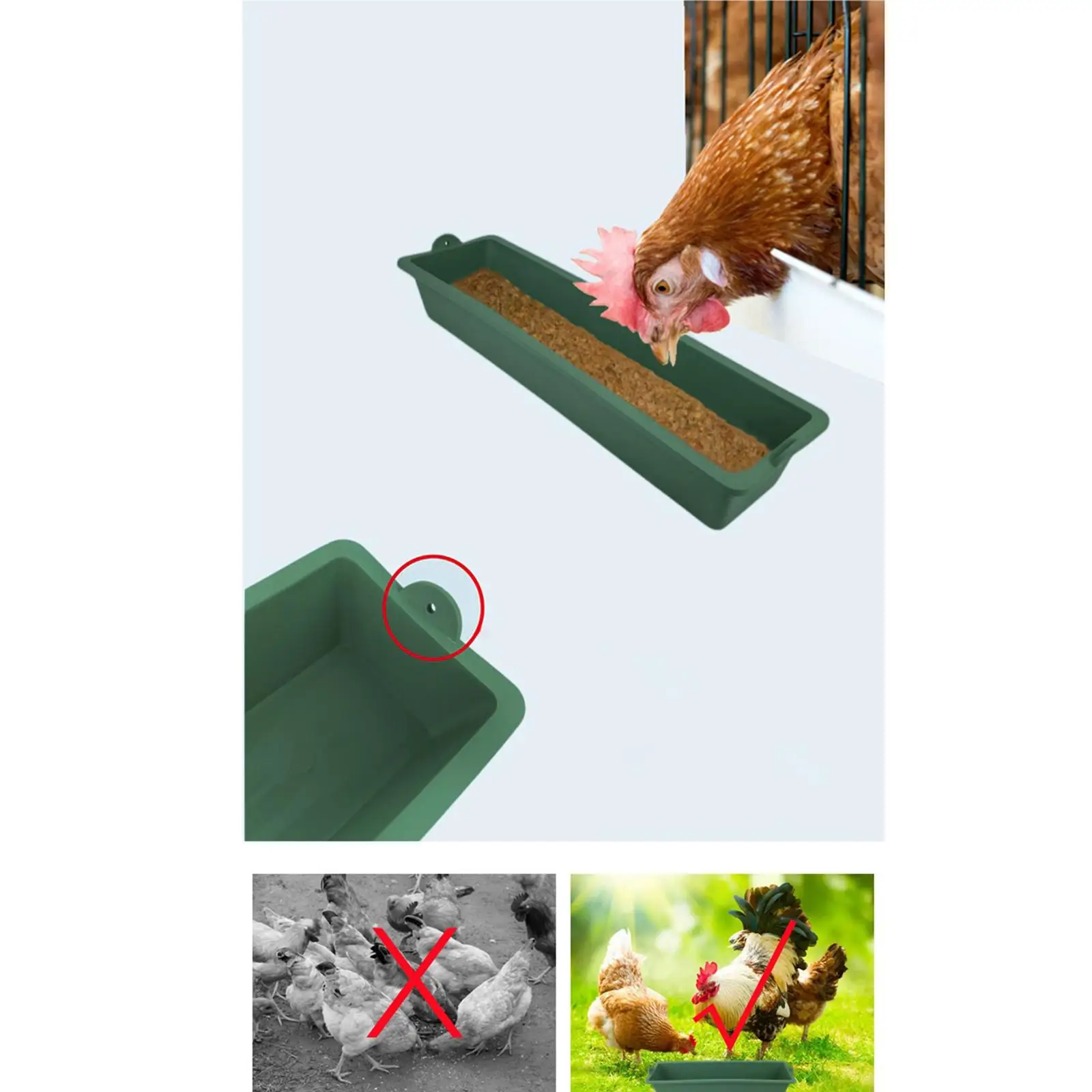 Tolva comedero colgante para gallinas y pollos – Plástico resistente - imagen 4