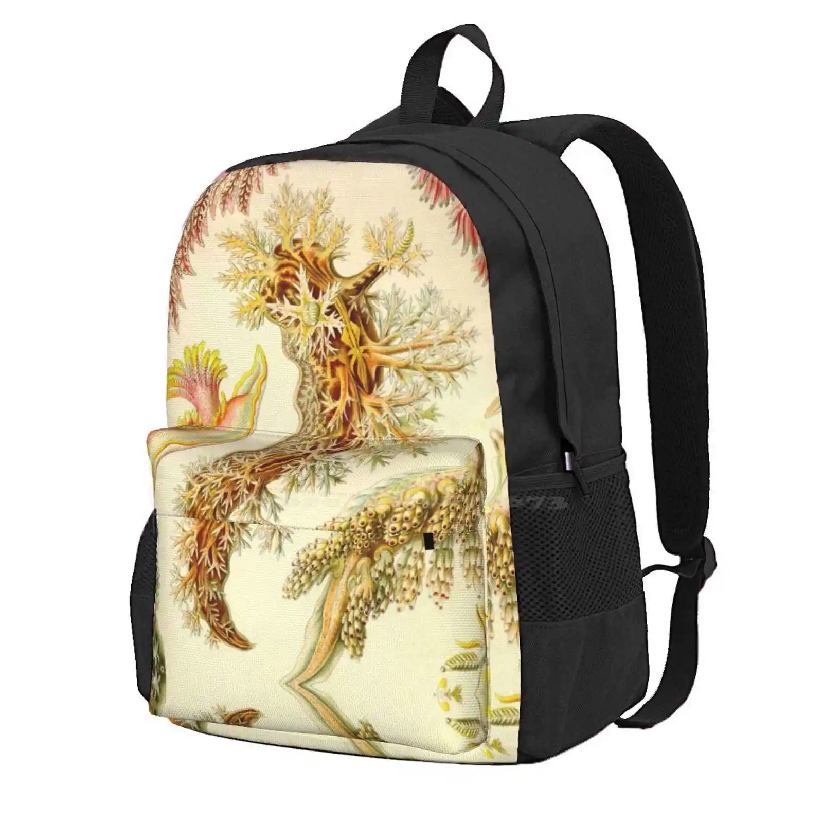 Sea Slug - Ernst Haeckel Hot Sale Schoolbag Backpack Fashion Bags 1800 1900 Kunstformen Der Natur Biology Natural Flora Fauna