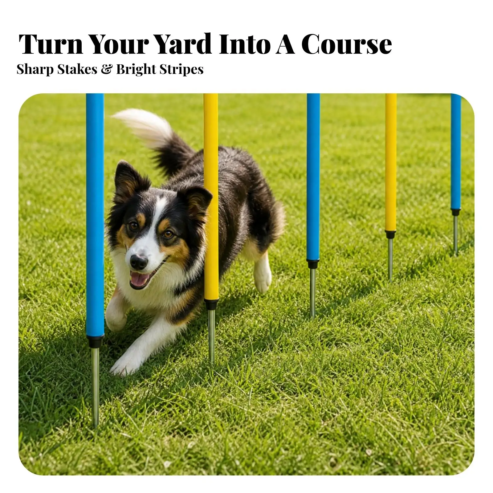 Dog Agility Equipment Outdoor Training Poles 6 Pack with Ground Stakes for Canine Obstacle Course Coordination Speed Practice