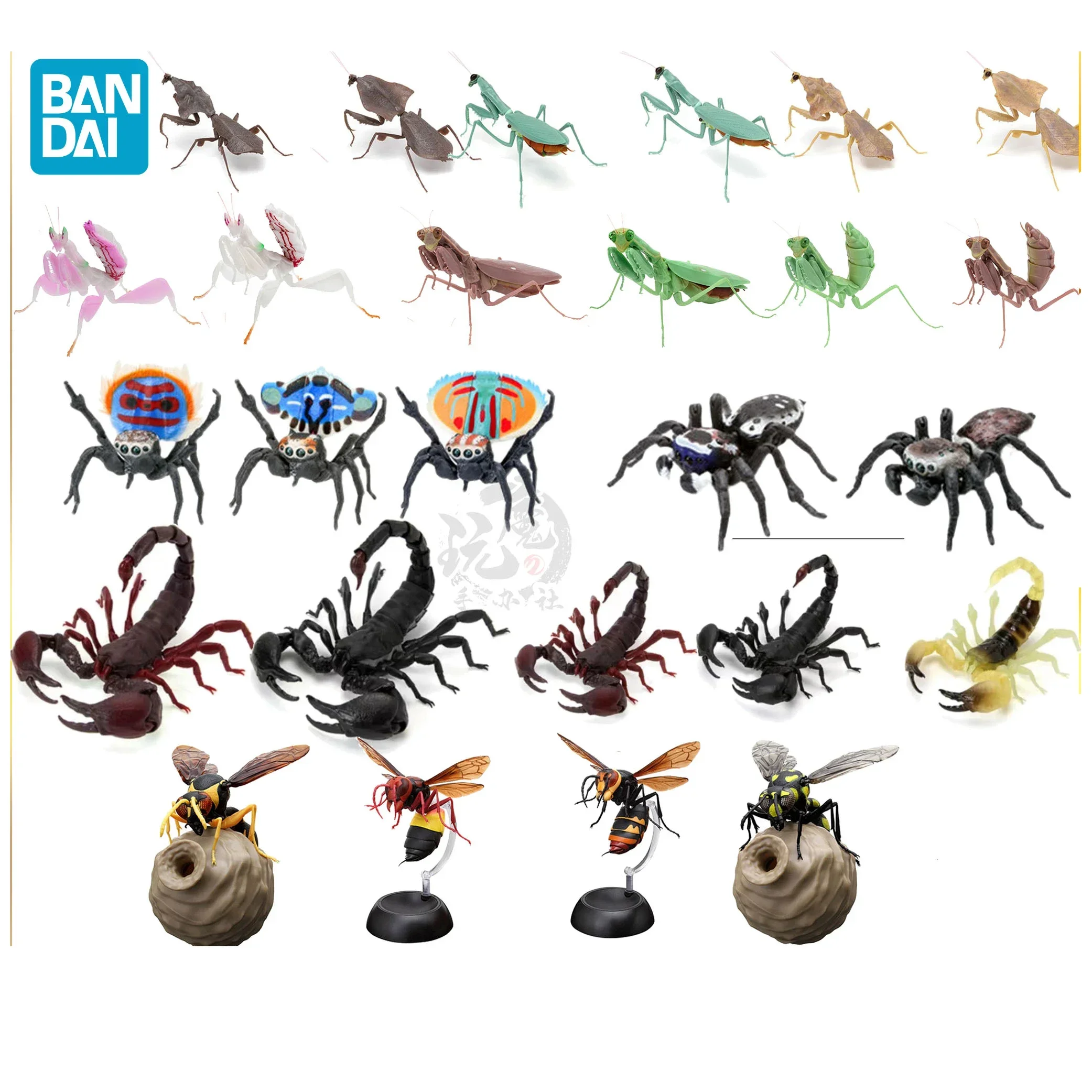 

Insects Gashapon Big Picture Book Series Mantis Spider Scorpion Wasp Simulation Insect Action Figure Model Toys