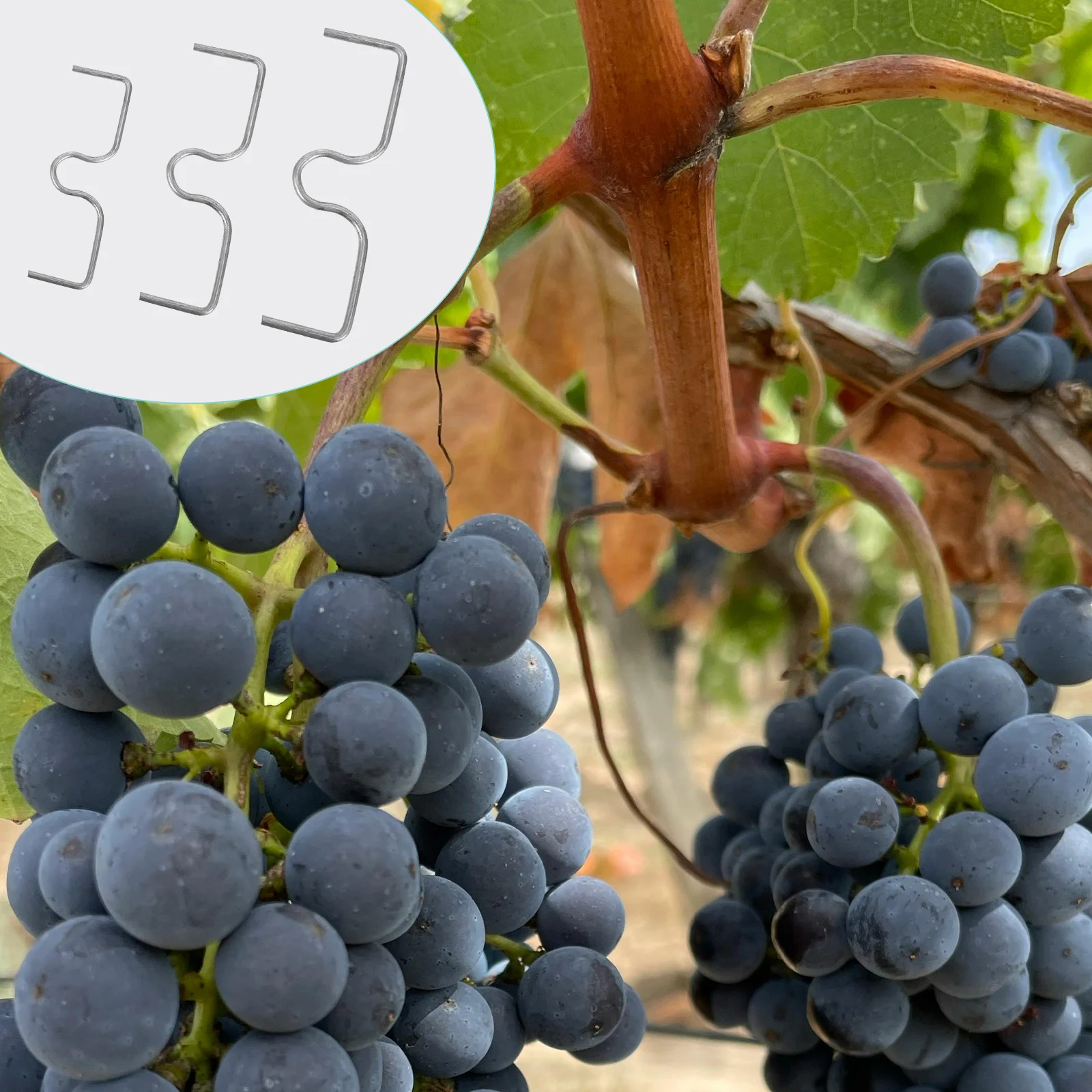 

30 шт., разбрасыватель ветвей фруктовых деревьев, регулируемый инструмент для поддержки конечностей для фруктовой фермы, гибочный крючок, устойчивый к атмосферным воздействиям, обучение растений