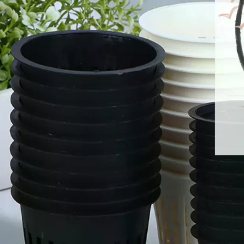 Net Pot 3 Inch - กระถางตาข่ายปลูกกล้วยไม้แบบไฮโดรโปนิกส์ ขนาด 2 นิ้ว 3 นิ้ว