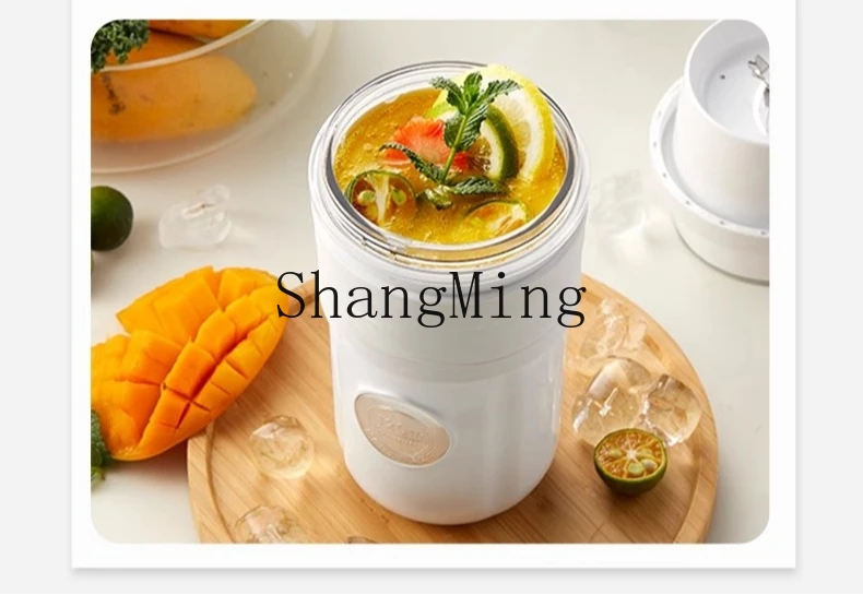 ZYY المحمولة الصغيرة المنزلية متعددة الوظائف التبريد الكهربائية سحق آلة ميلك شيك عصير الثلج