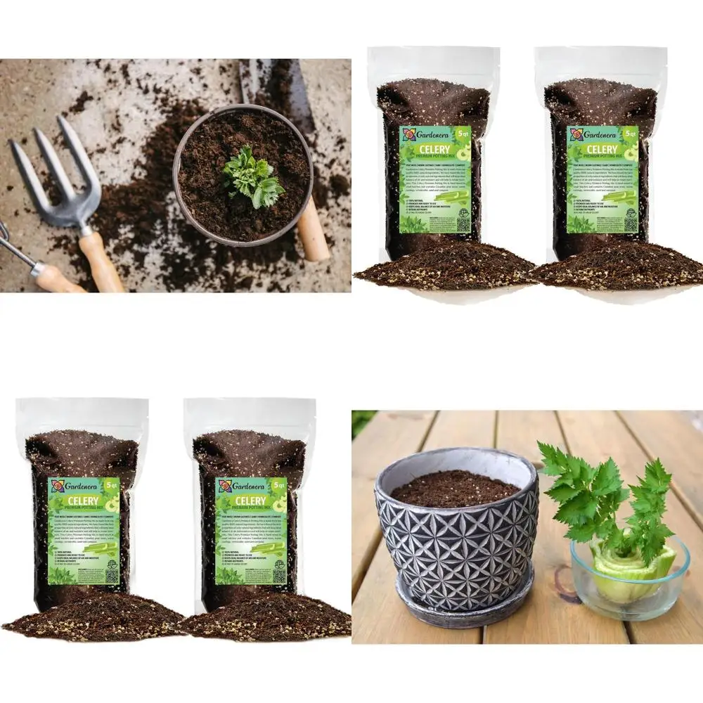 

Nutrient-Rich 10 Quart Celery Soil Mix for Healthy and Crisp Plant Growth