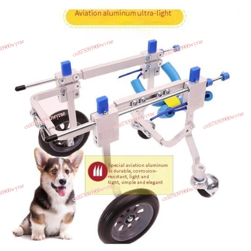 Pet hind leg injury, disability, paralysis, injury supported by a support bracket for rehabilitation exercise, walking bike