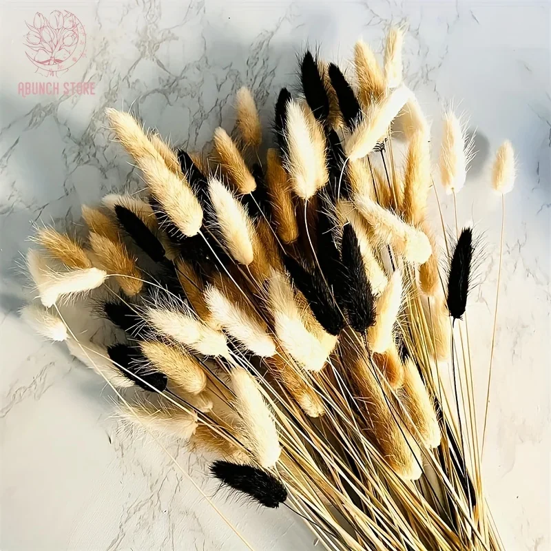 

100Pcs Bunny Rabbit Tail Grass Dried Flowers Bouquet Wedding Christmas Decoration Natural Pampas Autumn Table Decor Accessories