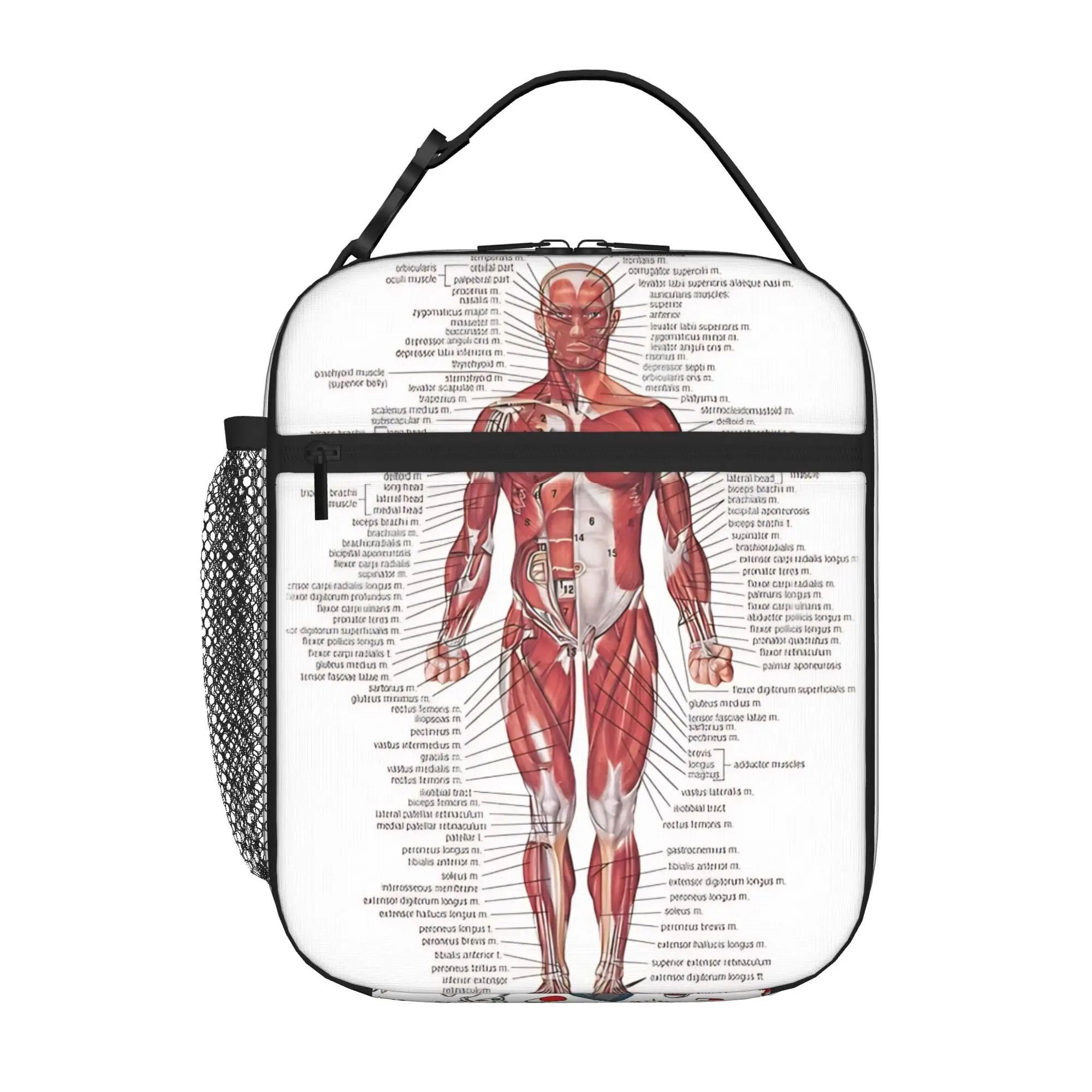 1 Piece Zipper Closure Nurse Tools Storage Bag Pocket Medical School Lunch Food Box Reusable For Lunch Food Bag