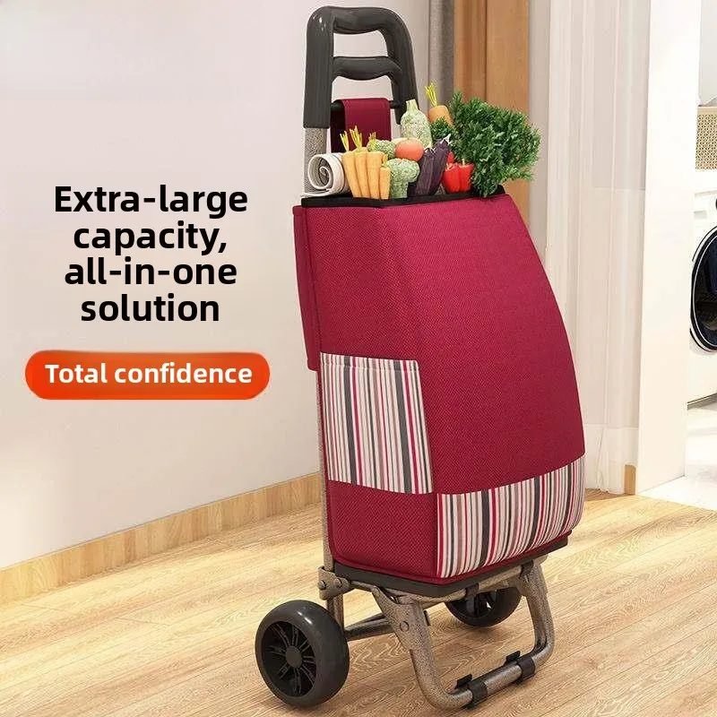 carrello-spesa-leggero-portatile-saliscale-per-la-spesa-e-il-mercato