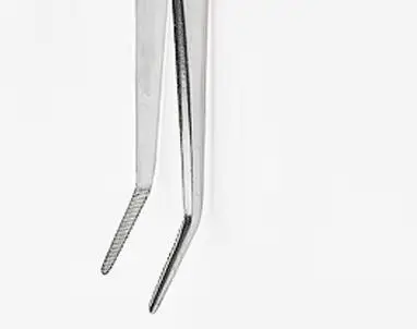 

Stainless Steel Dental Cotton Tweezers Cotton Roll Filling Clip Nail Art Nippers Pincers Forceps Medical Dentistry Instrument ﻿