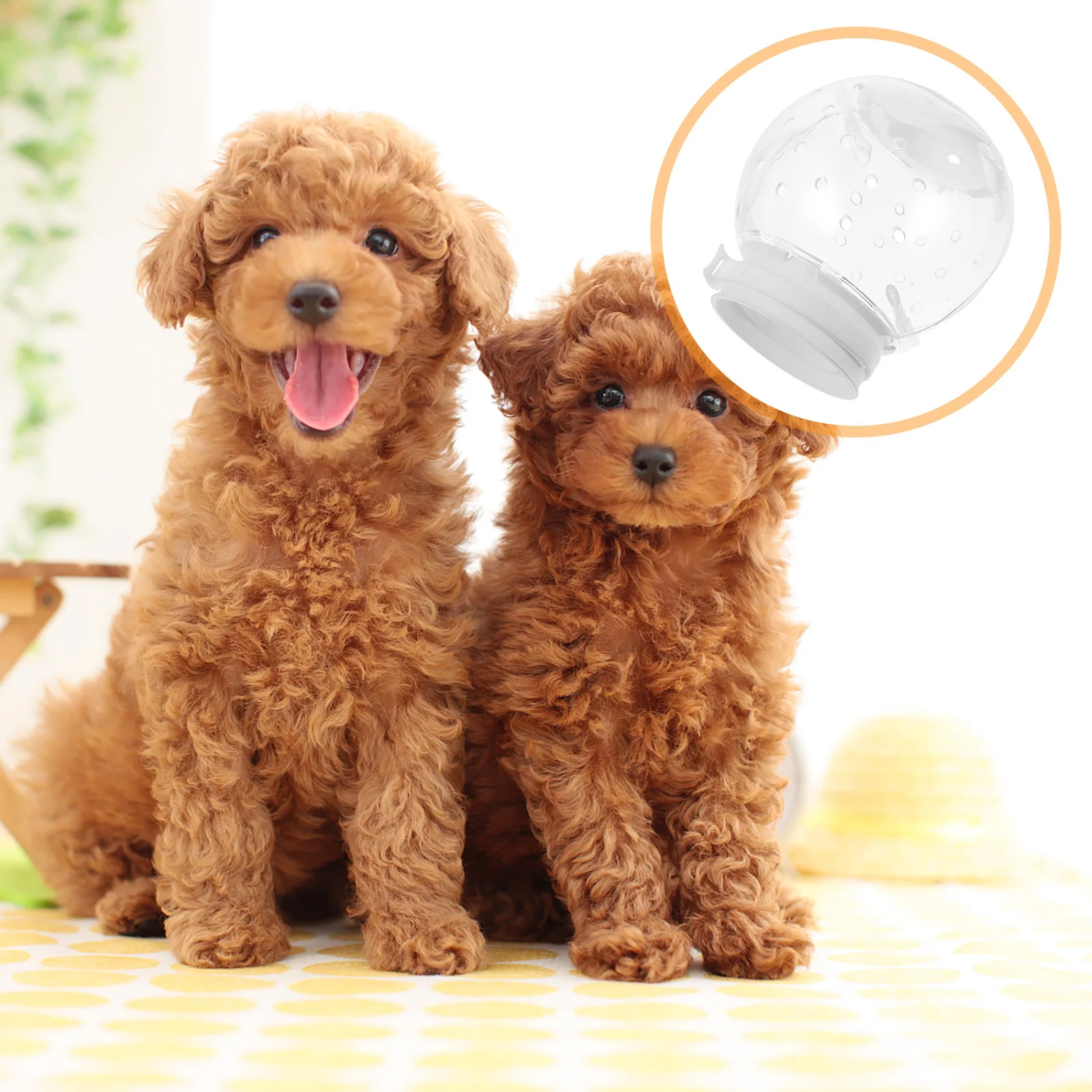 

Adjustable Transparent Pet Head Cover for Cats Dogs Anti-Biting Licking Protection Surgery Recovery Grooming Breathing Space