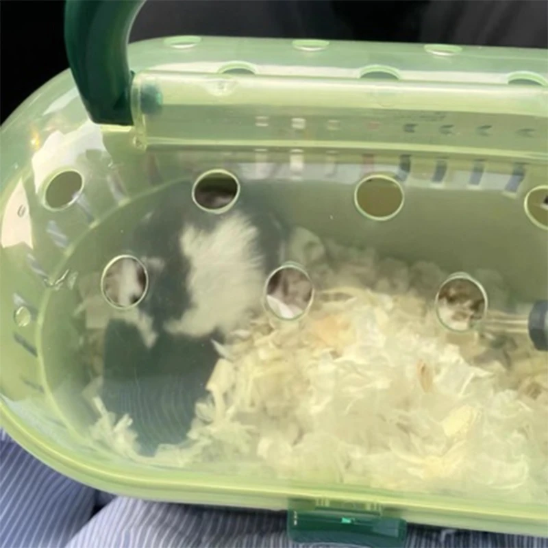 휴대용 캐리어 햄스터 운반 케이스 케이지, 여행 및 야외 햄스터 버니 소형 동물 캐리어 가방, K5DC Best5 휴대용 캐리어 햄스터 운반 케이스 케이지, 여행 및 야외 햄스터 버니 소형 동물 캐리어 가방, K5DC Best5