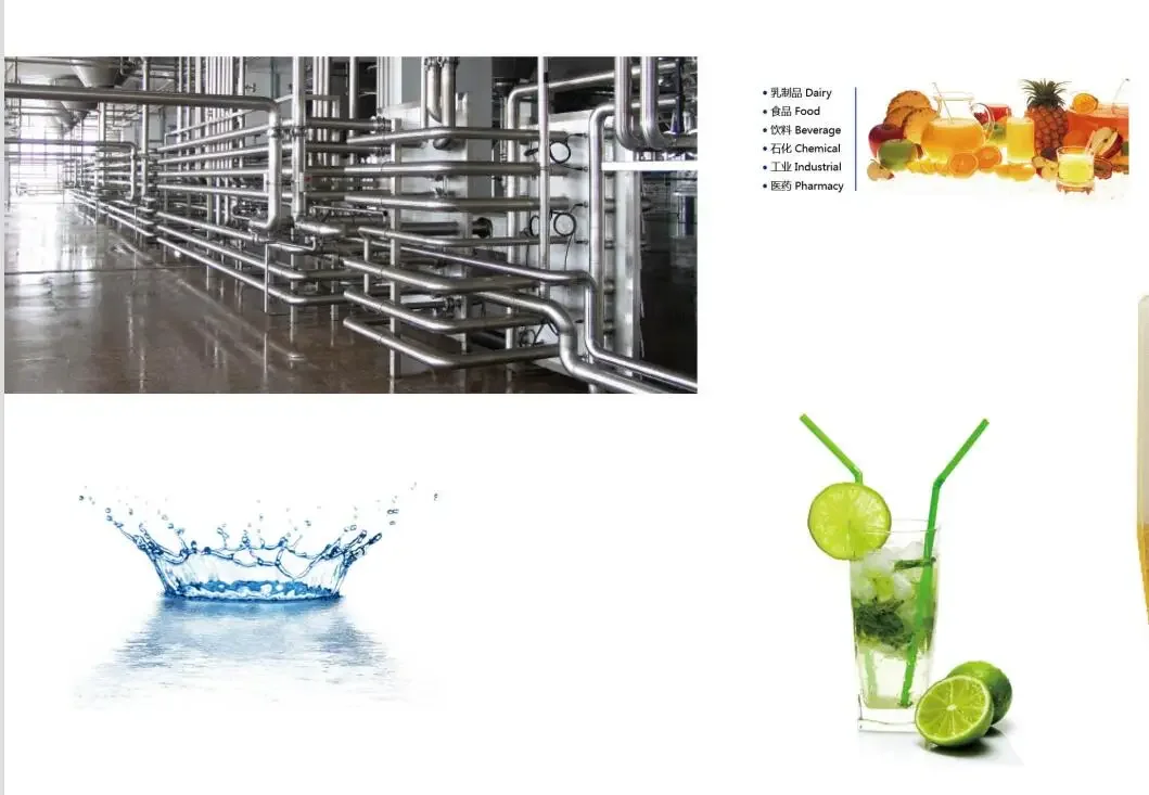 زجاج رؤية من الفولاذ المقاوم للصدأ مستدير SS304 مع نوع شفة ضوء LED لأوعية الضغط #4