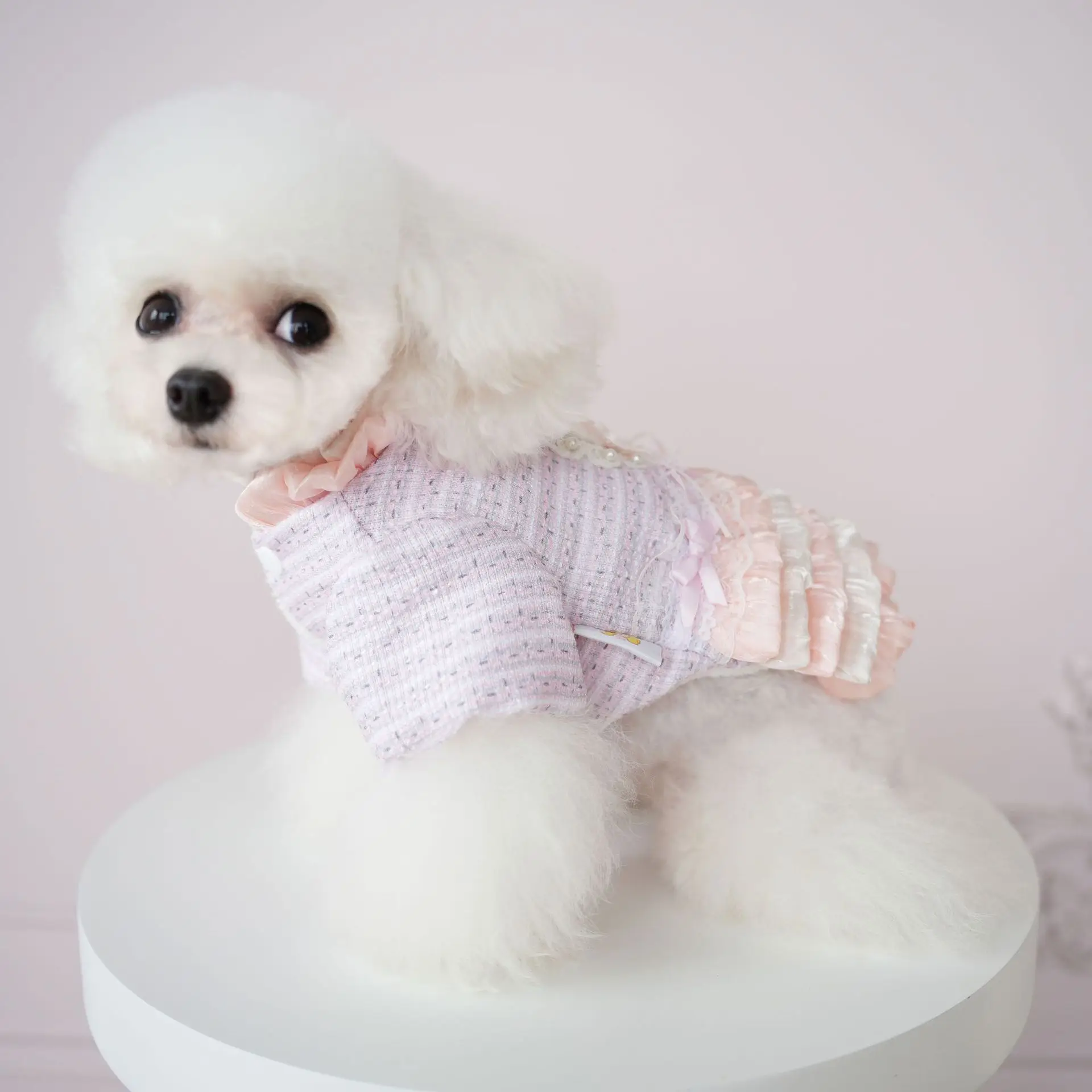 Pet Sweater Jacket Multi-layer Skirt Warm and Cold Proof Winter Clothing Can Be Pulled with Two Legs Clothes Puppy Clothes