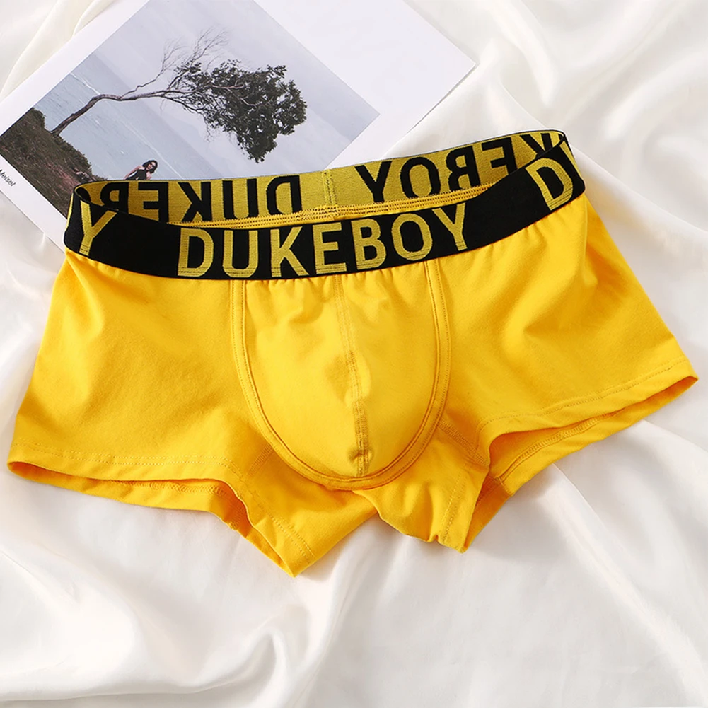 

Man Underpants Underwear Boxer Briefs Breathable Light Underpants Low Rise Sexy Pants All Season Clubwear Comfy