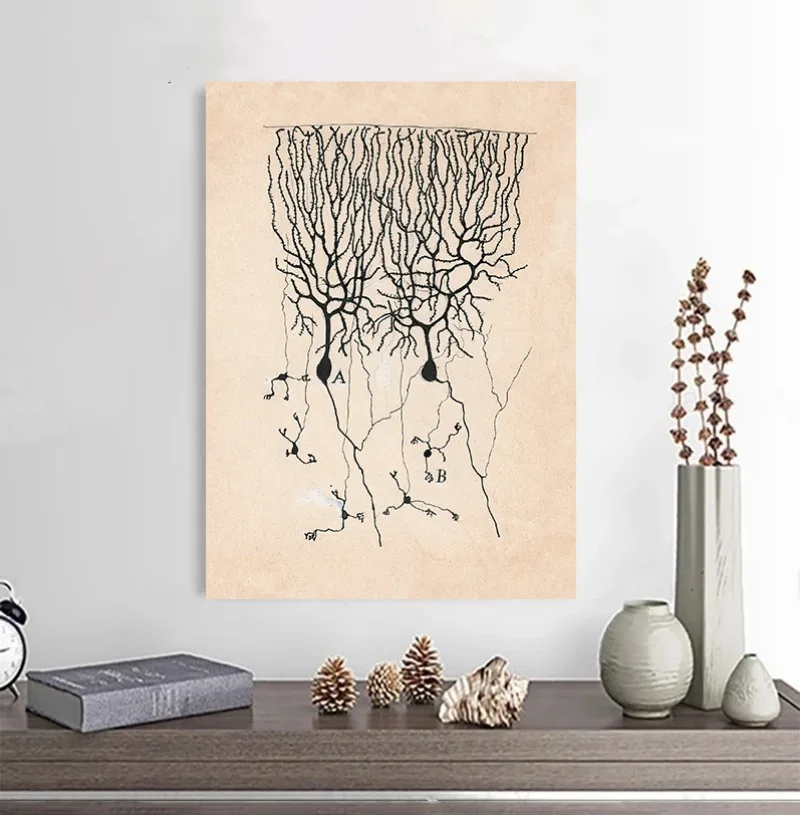 Santiago Ramon Y Cajal Neuron Drawing Vintage Poster Brain Anatomy Wall Art Canvas Print Neuroscience Biology Illustration Decor view 4