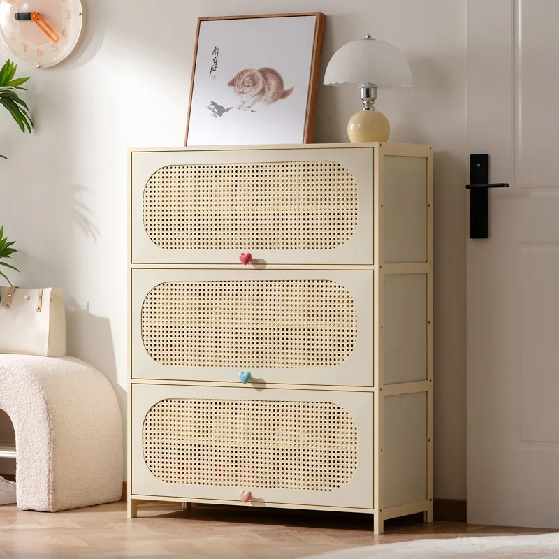 

Стальной шкаф для обуви, многослойный шкафчик у входе дома, шкаф для хранения большой вместимости, пыленепроницаемая полка для обуви, маленькая.