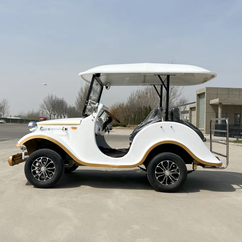 Adult 8 Passenger Golf Carts Electric Sightseeing Classic Old Vintage Car with Rain Cover