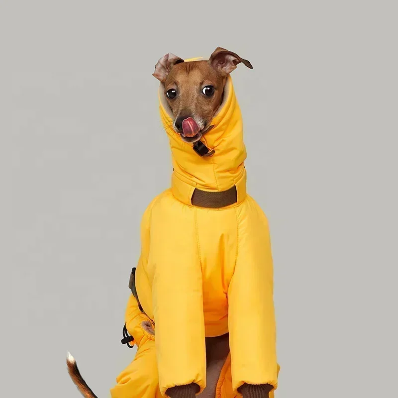 Wonderful Outdoor italian greyhound turtleneck jumpsuits winter dog jacket for greyhound