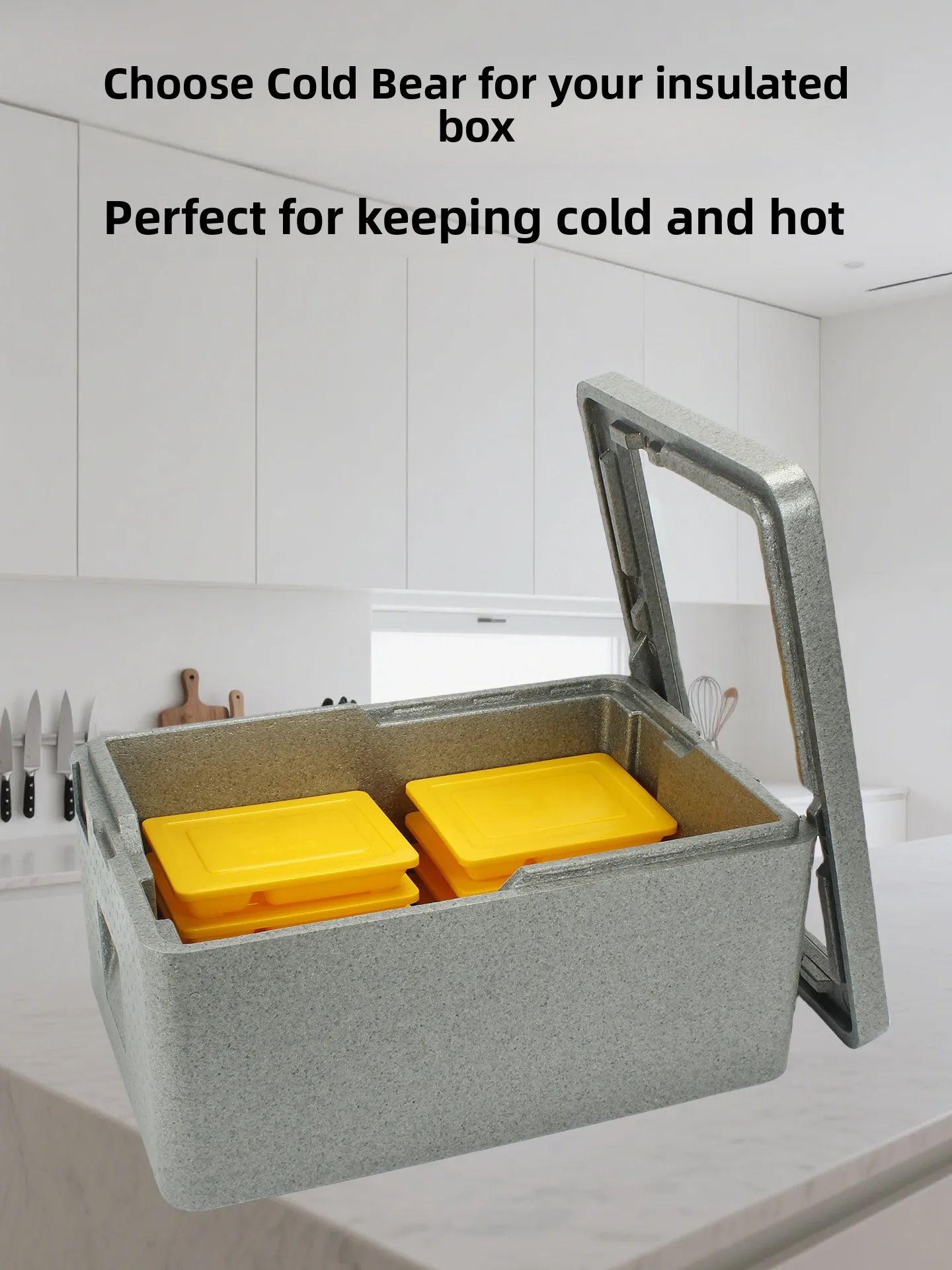 

High Densi EPP Insulated Box Commercial Outdoor Food Refrigerator Transparent Cover Dert Display Case Picnic BBQ Supplies