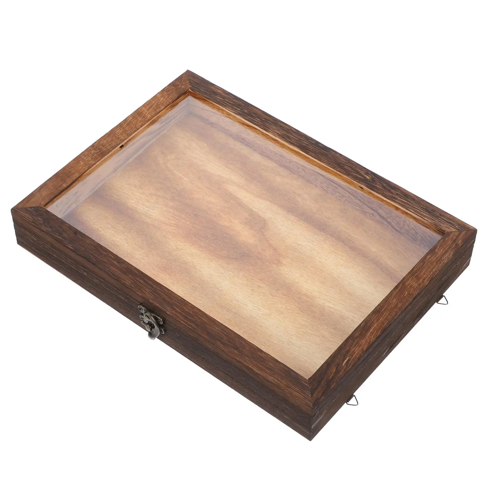 

Vintage Specimen Box Display Case Holder Collection Wood Showcase Wooden Travel Frame Butterflies