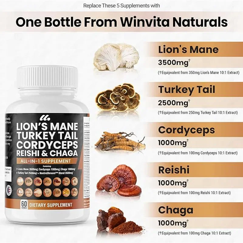 Lions Mane mushroom supplement contains turkey tail, Ganoderma lucidum, cordyceps sinensis, and Chaga mushroom