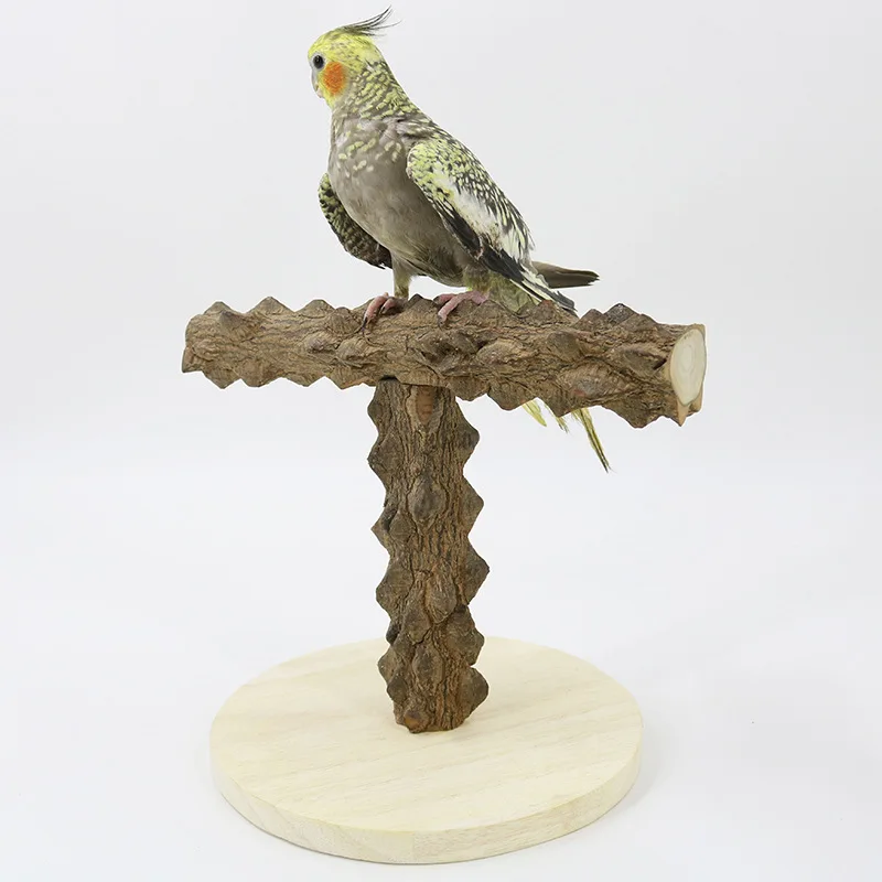 Parrot T-shaped Sichuan pepper wood game stand, bird stand, pole stand, climbing ladder, parrot toy training supplies