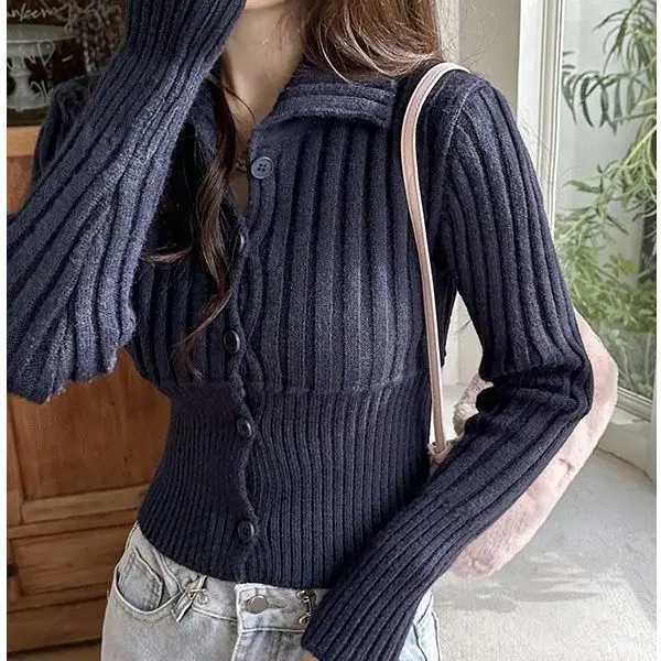 Sweater base shirt polo lapel knitted Cardigan Ladies Fall 2024 new style blouse slim look long sleeves