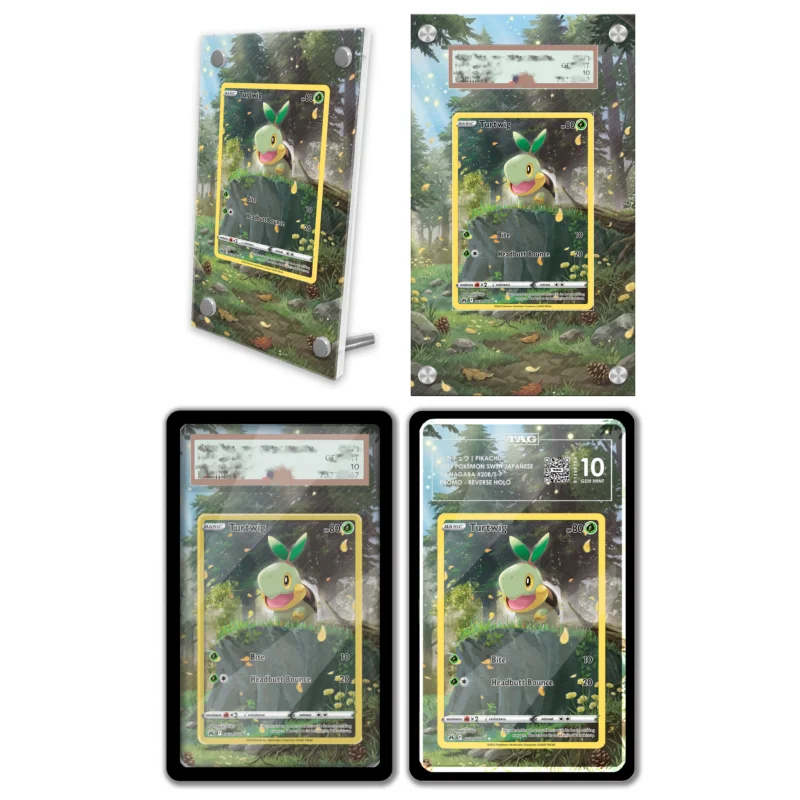 display-de-arte-anime-para-pokemon-espada-e-escudo-turtwig-presentes-de-arte-de-anime-e-jogos-estojo-protetor-de-acrilico-chaveiro-nivel-de-avaliacao