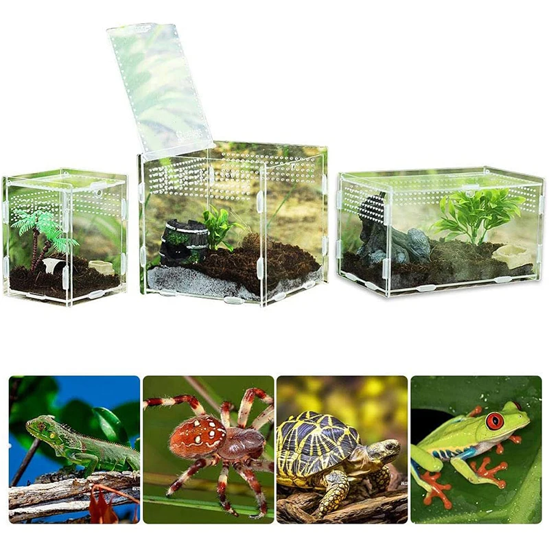 Acrylic Reptile Breeding Box Transparent Terrarium Habitat Insect Spider Lizard Scorpion Feeding Cage Arboreal Enclosure Case