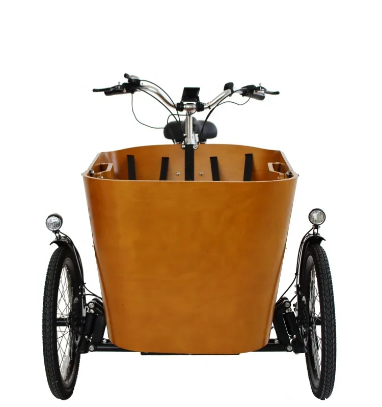 CE Standard Three Wheel Cheap Cargo Tricycle For Adults With Safety Belts And Seats